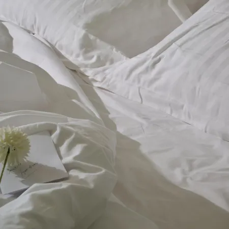 호텔 Rmh Raffaello 4*