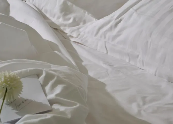 Szálloda Rmh Raffaello 4*